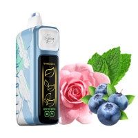 Ельф Бар Nіс Кіng 30000 Чорниця Роза М'ята