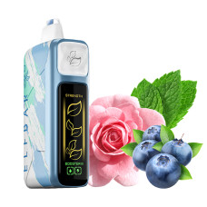 Ельф Бар Nіс Кіng 30000 Чорниця Роза М'ята